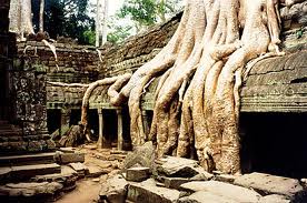 Siem Reap Half day Siem Reap Half day